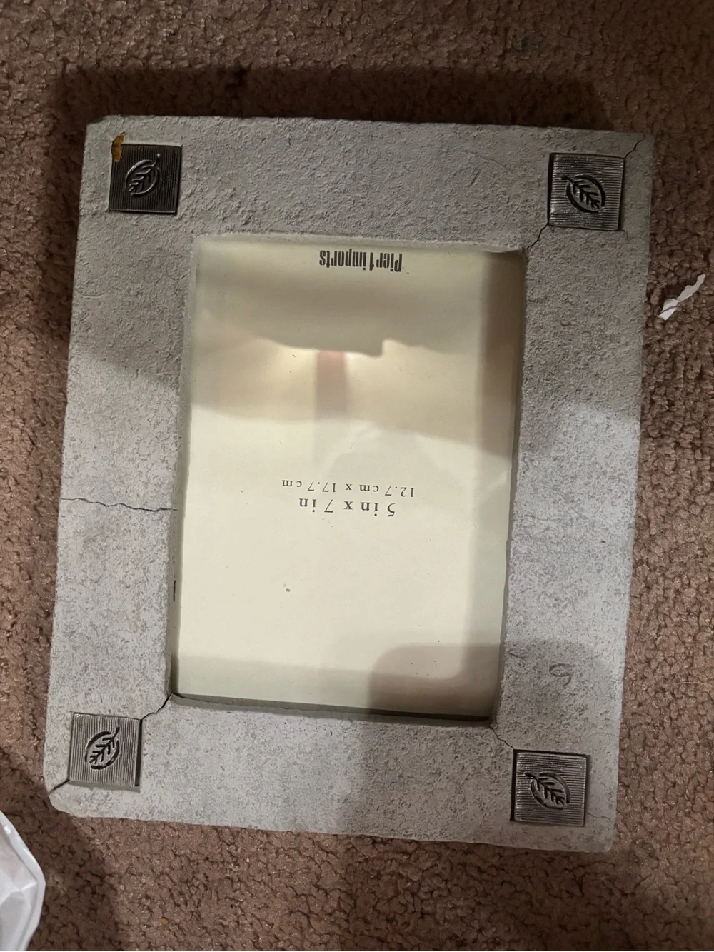 Pier 1 Concrete-Look Photo Frame with Leaf Medallions - Gray